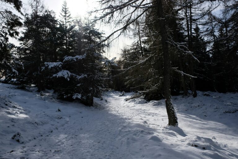 Paysage hivernal dans le massif de l'Estérel avec sentier de randonnée