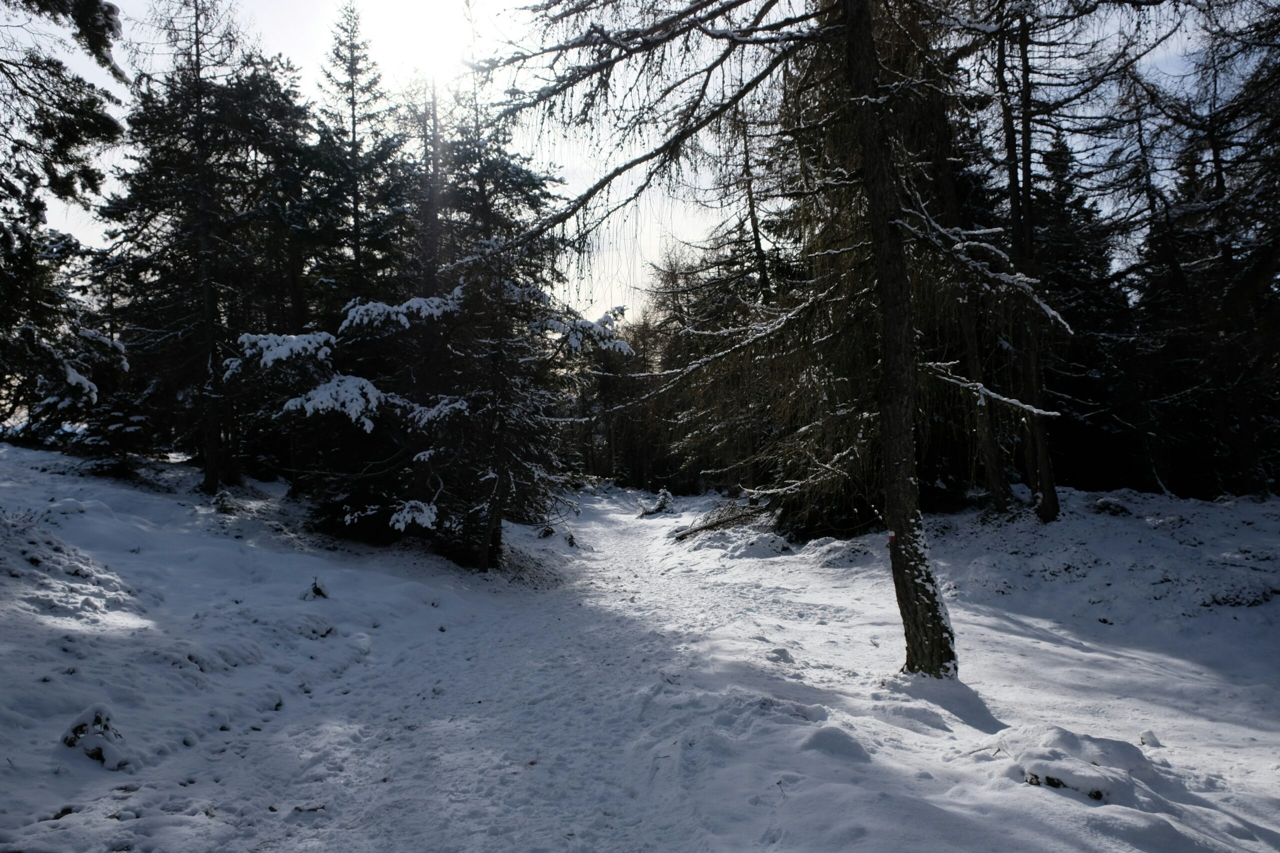 Paysage hivernal dans le massif de l'Estérel avec sentier de randonnée