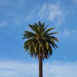 Vue de Nice en hiver avec passants sur la Promenade des Anglais par une journée ensoleillée de janvier