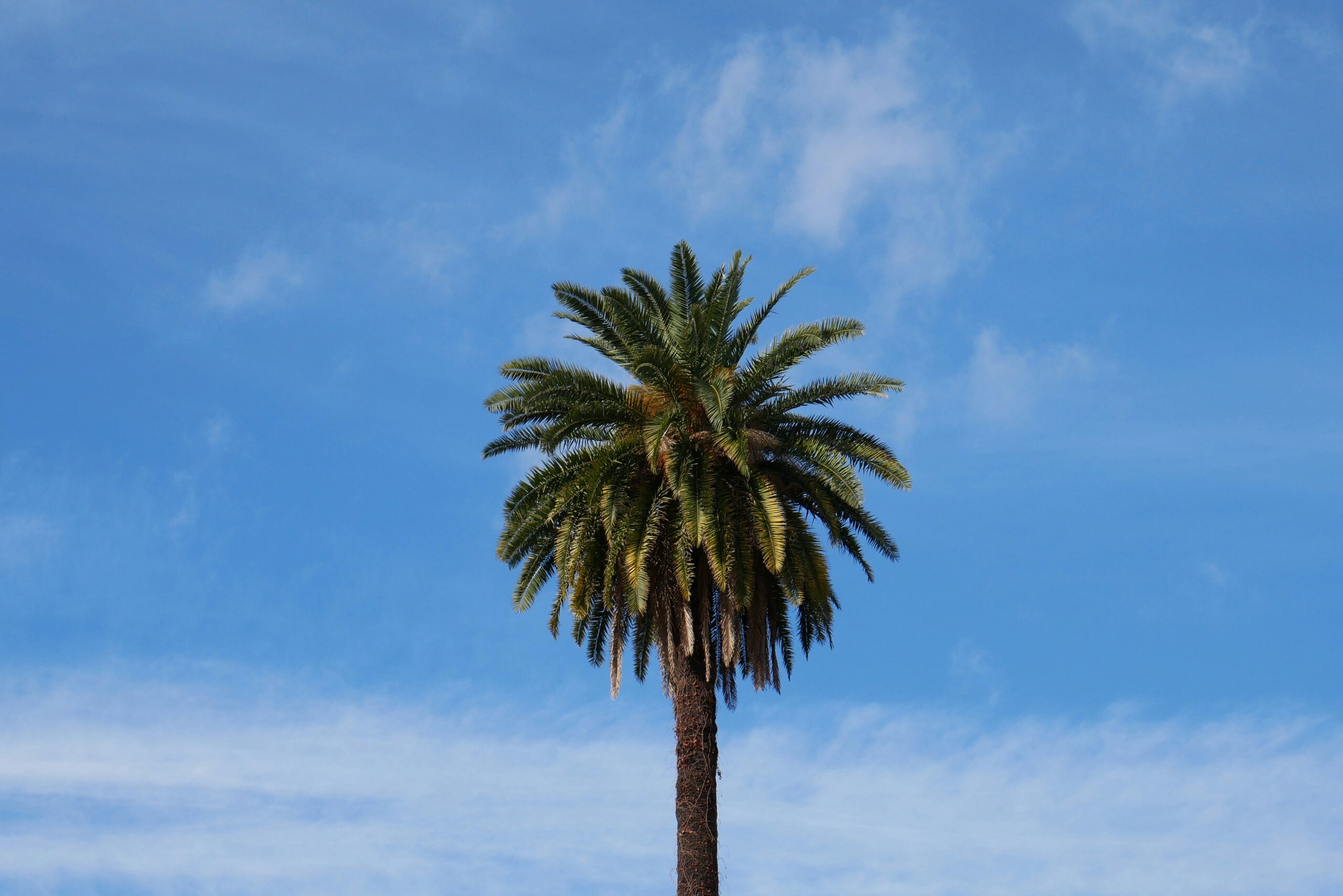 Vue de Nice en hiver avec passants sur la Promenade des Anglais par une journée ensoleillée de janvier